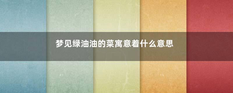 梦见绿油油的菜寓意着什么意思