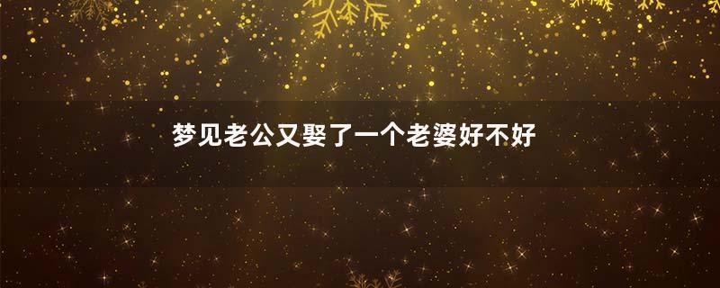 梦见老公又娶了一个老婆好不好