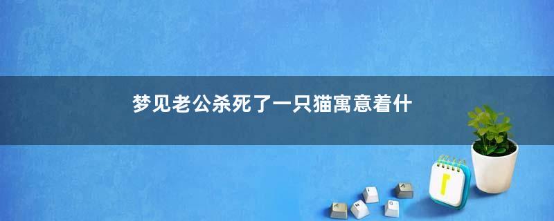 梦见老公杀死了一只猫寓意着什么