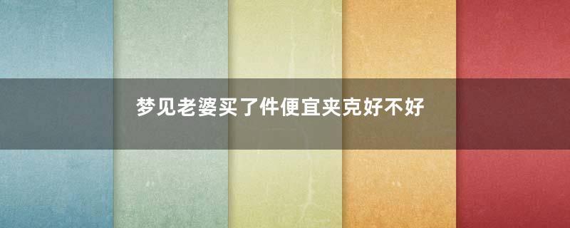 梦见老婆买了件便宜夹克好不好