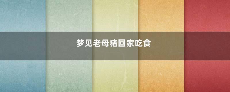 梦见老母猪回家吃食
