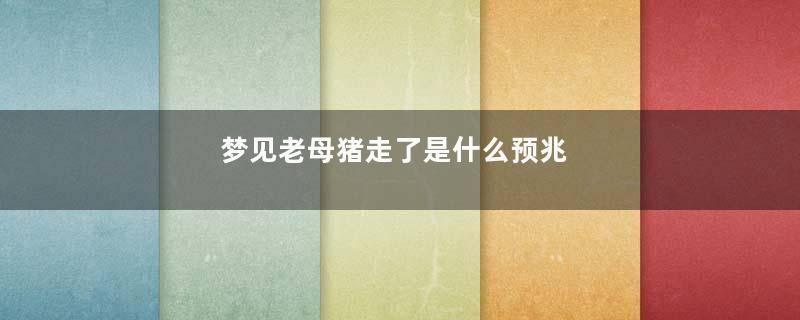 梦见老母猪走了是什么预兆