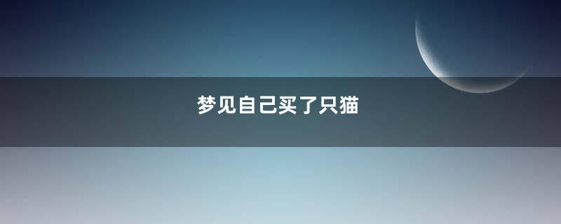 梦见自己买了只猫