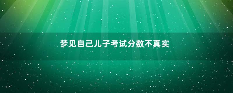 梦到自己儿子考试分数不真实