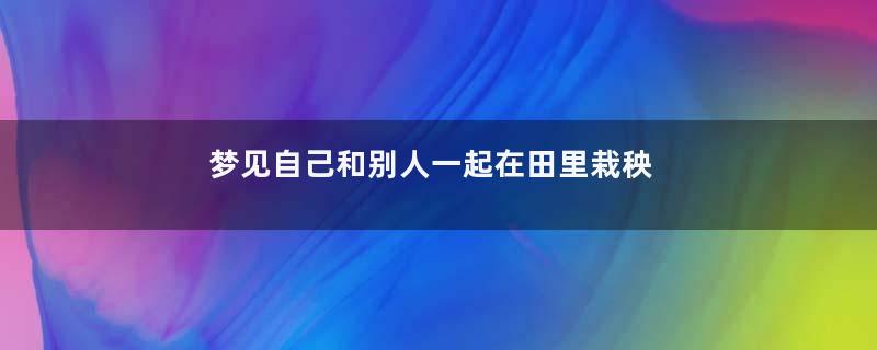 梦见自己和别人一起在田里栽秧寓意着什么意思