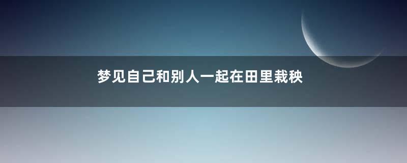 梦见自己和别人一起在田里栽秧是什么意思