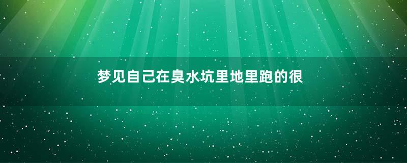 梦到自己在臭水坑里地里跑的很快