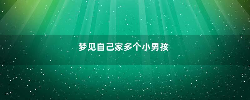 梦见自己家多个小男孩