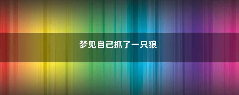 梦见自己抓了一只狼