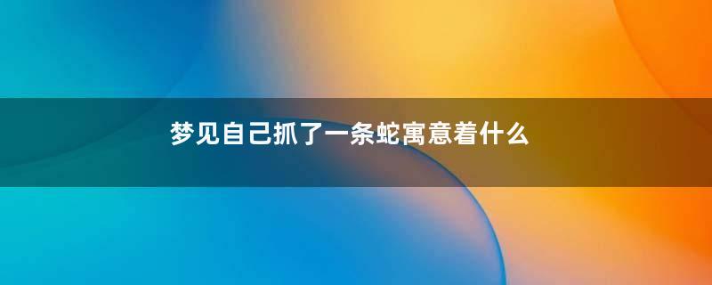 梦见自己抓了一条蛇寓意着什么