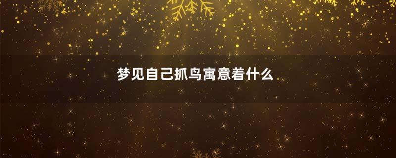 梦见自己抓鸟寓意着什么