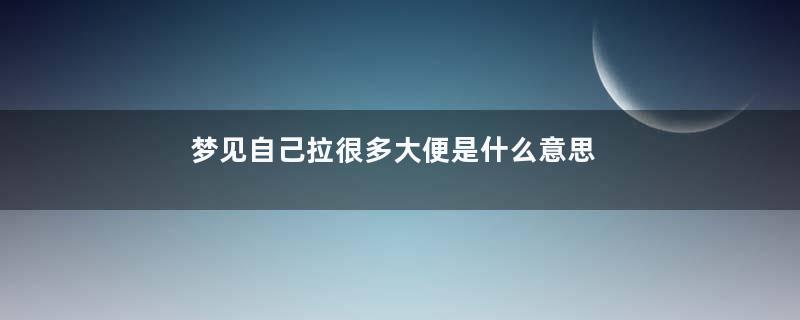 梦见自己拉很多大便是什么意思是什么意思