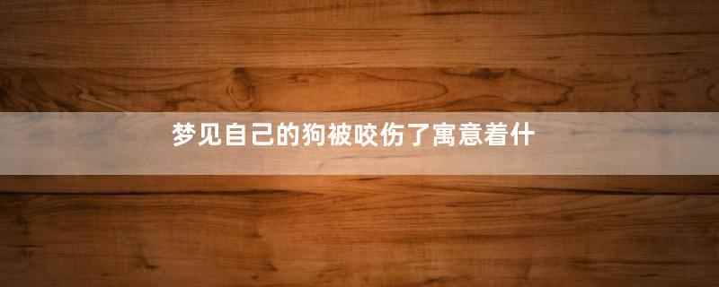 梦见自己的狗被咬伤了寓意着什么