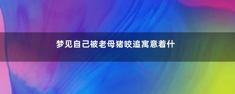 梦见自己被老母猪咬追寓意着什么