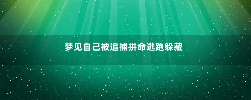 梦见自己被追捕拼命逃跑躲藏