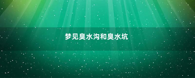 梦见臭水沟和臭水坑