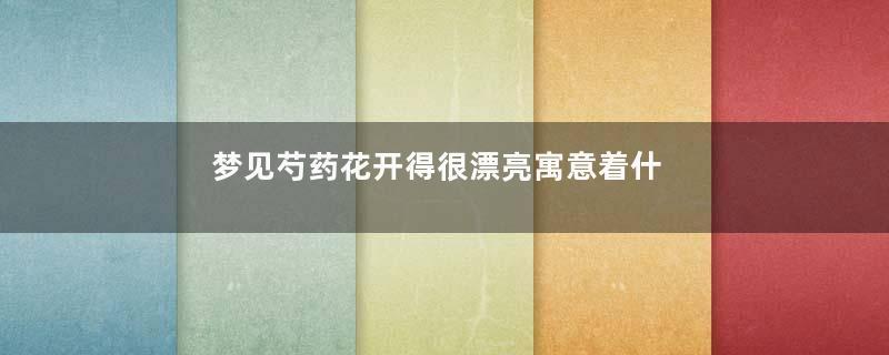 梦见芍药花开得很漂亮寓意着什么意思