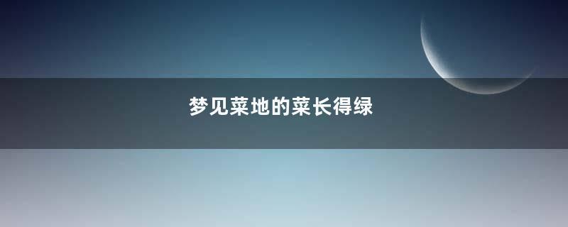 梦见菜地的菜长得绿