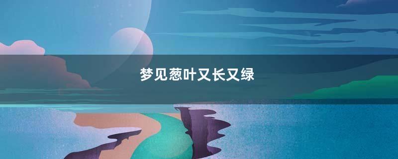 梦见葱叶又长又绿