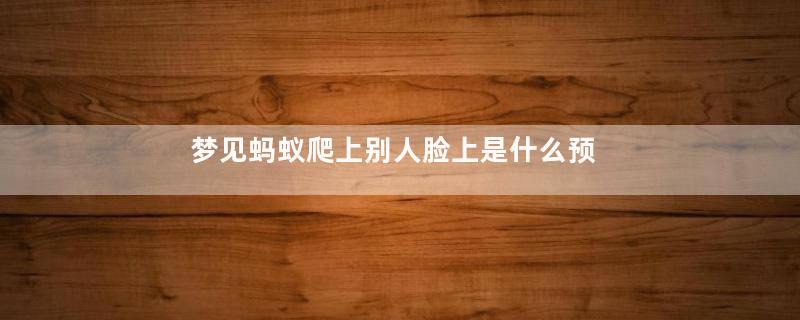 梦见蚂蚁爬上别人脸上是什么预兆