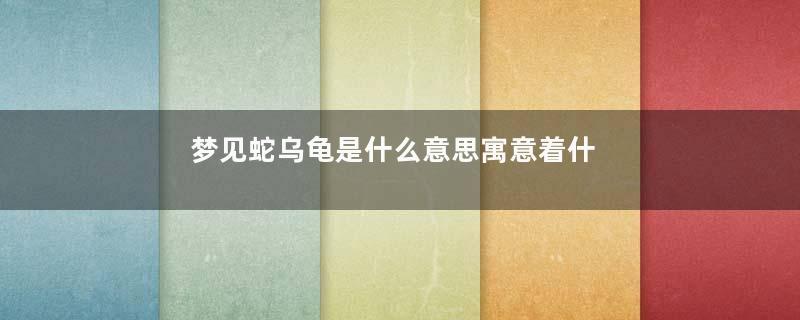 梦见蛇乌龟是什么意思寓意着什么