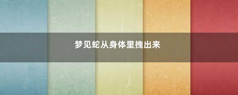 梦见蛇从身体里拽出来
