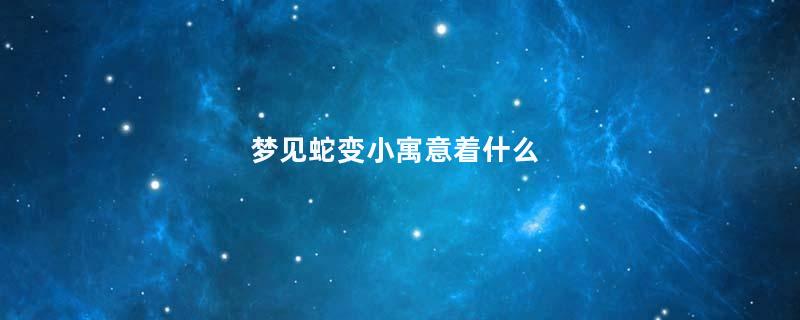 梦见蛇变小寓意着什么