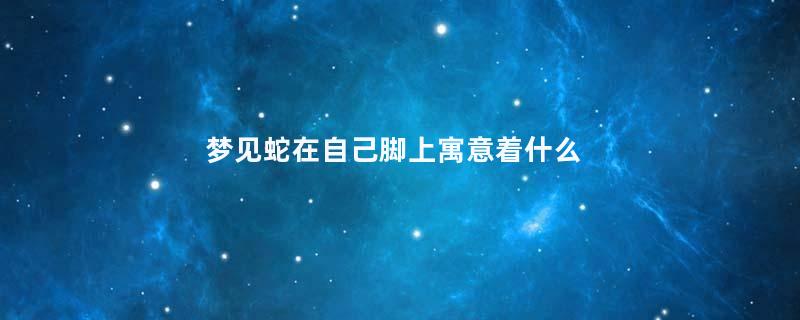 梦见蛇在自己脚上寓意着什么
