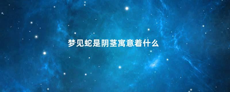 梦见蛇是阴茎寓意着什么
