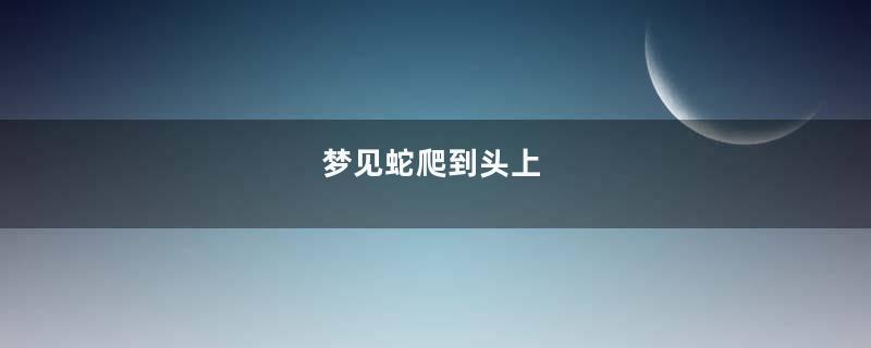 梦见蛇爬到头上