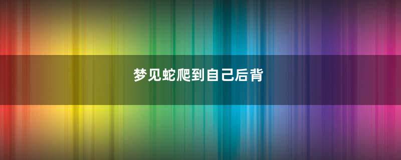 梦见蛇爬到自己后背