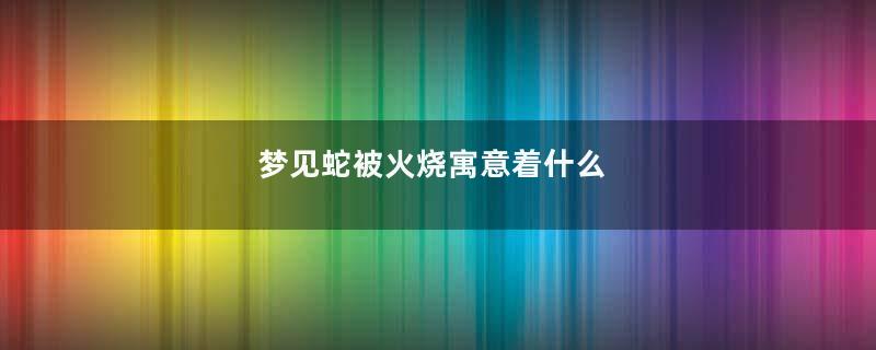 梦见蛇被火烧寓意着什么