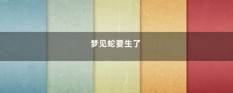 梦见蛇要生了