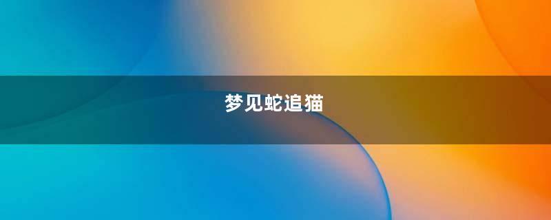 梦见蛇追猫