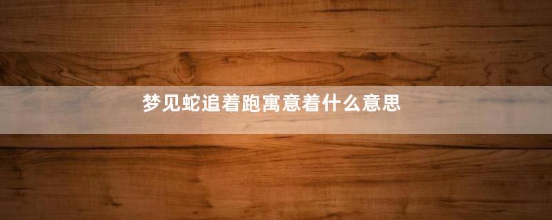 梦见蛇追着跑寓意着什么意思