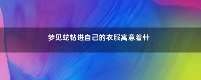 梦见蛇钻进自己的衣服寓意着什么