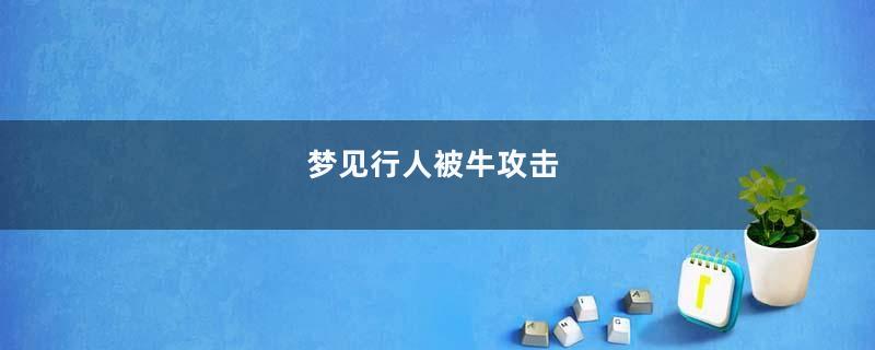 梦到行人被牛攻击