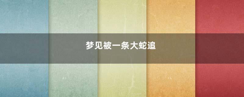 梦到被一条大蛇追