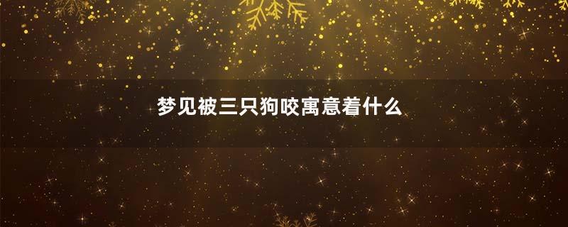 梦见被三只狗咬寓意着什么