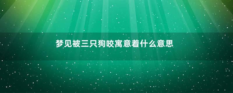 梦见被三只狗咬寓意着什么意思