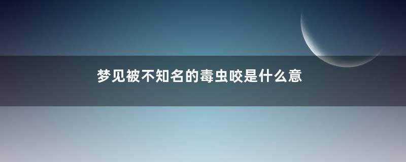 梦见被不知名的毒虫咬是什么意思