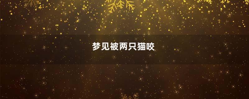 梦见被两只猫咬
