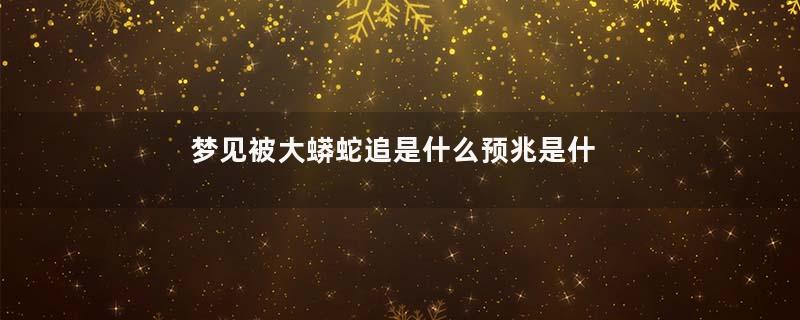 梦见被大蟒蛇追是什么预兆是什么意思