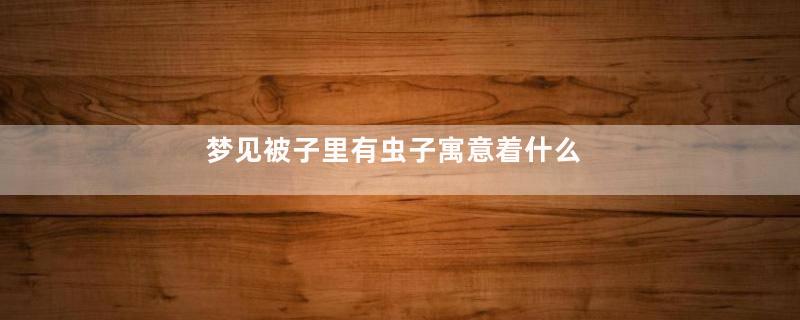 梦见被子里有虫子寓意着什么