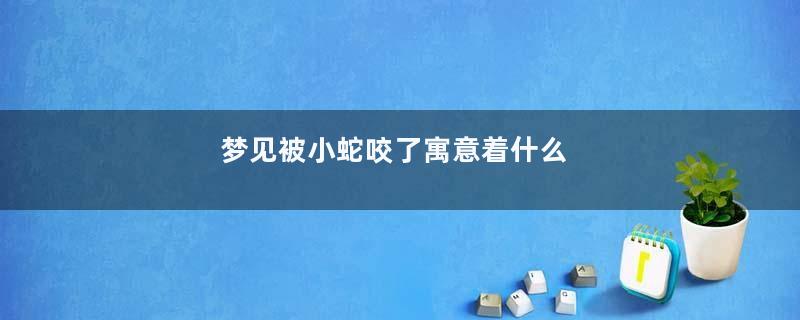 梦见被小蛇咬了寓意着什么