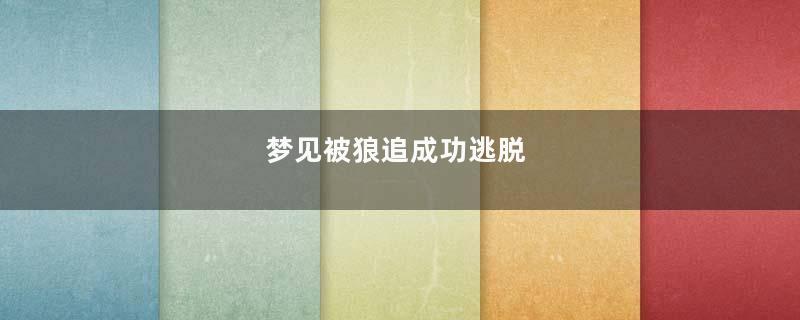 梦见被狼追成功逃脱