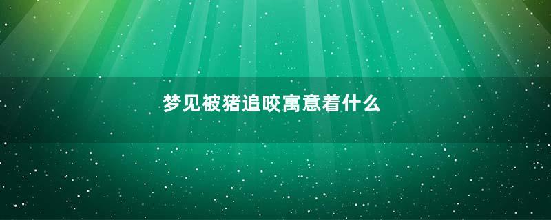 梦见被猪追咬寓意着什么