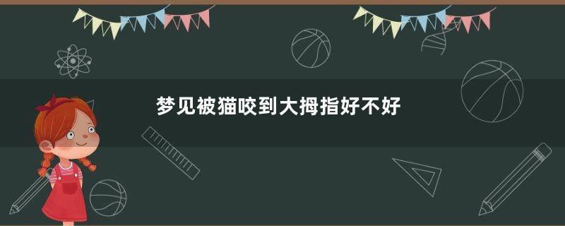 梦见被猫咬到大拇指好不好