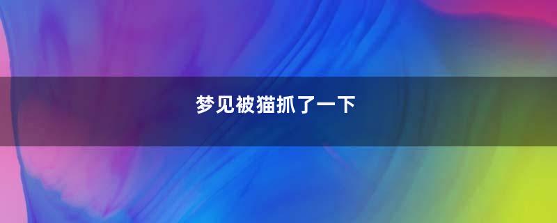 梦见被猫抓了一下