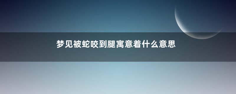 梦见被蛇咬到腿寓意着什么意思